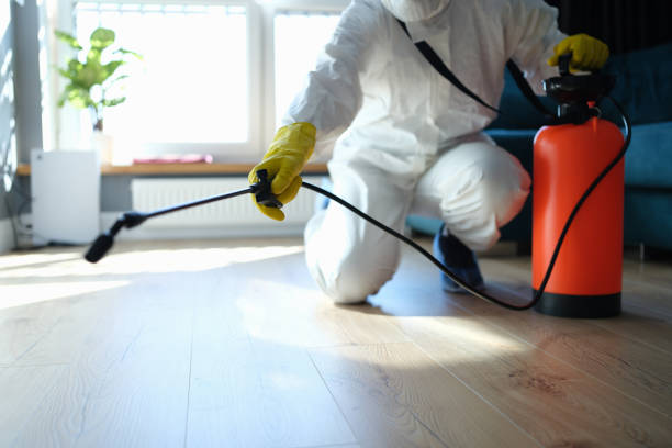 Reliable Odor Removal contractor in Murdock, NE by Trauma Clean Pros